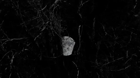 Perigee moon moving behind tree Stock-Footage 2463086