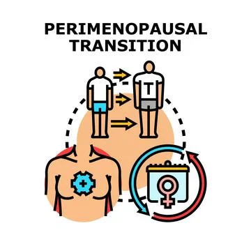 Perimenopausal transition experiencing body changes hormonal shift Stock-Illustration