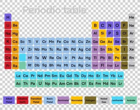 Periodic table chart, elements categorized by their states and groups イラスト素材