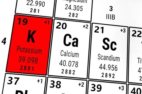 Periodic table of the elements: Calcium, Potassium, Scandium 스톡 일러스트