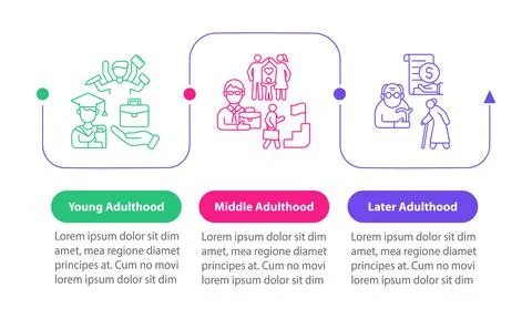 Periods of adulthood vector infographic template Stock Illustration