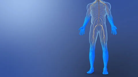 Peripheral Neuropathy with Sensory Nerve Damage and Tingling Stock Footage 285512659