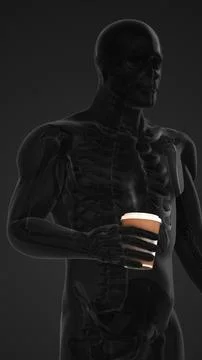 Peripheral sensory network to brain for tactile perception 스톡 일러스트