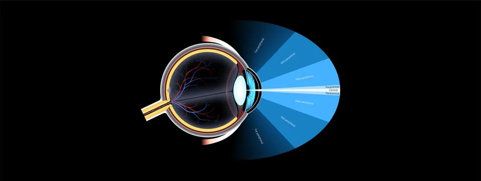Peripheral vision poster Stock Illustration