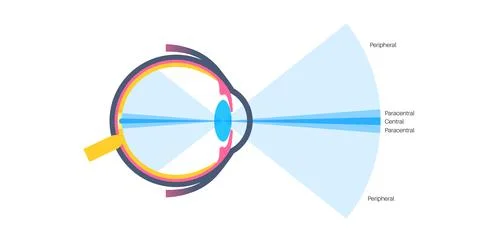 Peripheral vision poster Stock Illustration