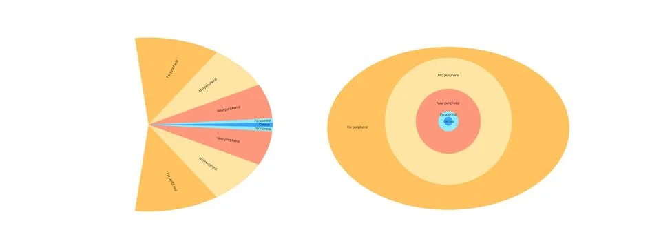 Peripheral vision poster イラスト素材