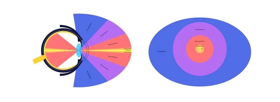 Peripheral vision poster Stock Illustration