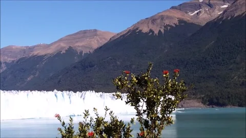 PERITO MORENO Stock-Footage 308405433