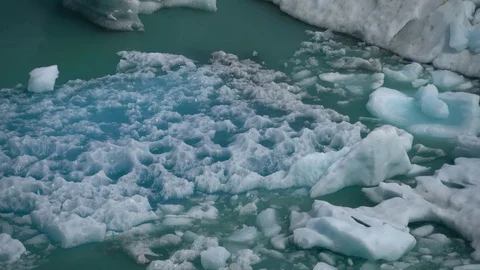 Perito Moreno Glacier Floating Ice Stock Footage 73225695