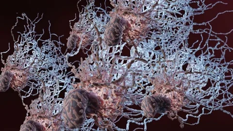 Peritrichous Bacteria with flagellum, bacteria with long tails, viruses Stock Footage 219489352