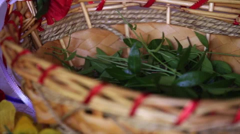 Periwinkle leaves in a wicker basket Stock Footage 65282430