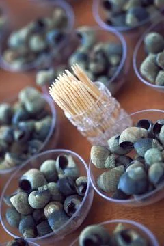 Periwinkles on a table Stock Photos