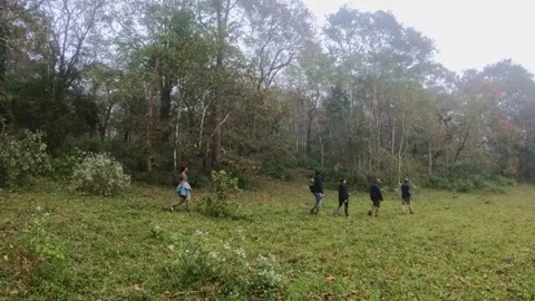 Periyar Tiger Trail - Forest Trekking - Kerala - India (28th Dec, 2024) Stock Footage 297771553