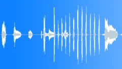 Perky girl laughSound Effect