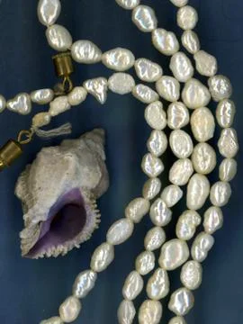 Perl and shelll Stock Photos