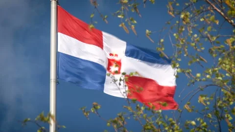 Perm region. Flag of Perm with a bear up view Stock Footage 108341130