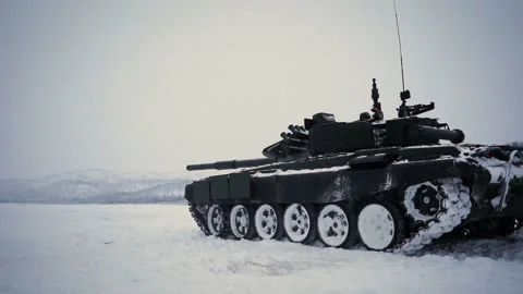 Perm region. Flag of Perm with a bear up view Stock Footage 115860439