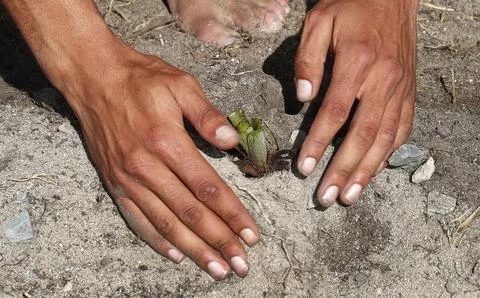 Permaculture learning program, Cape Town, South Africa - 18 Oct 2017 Foto stock
