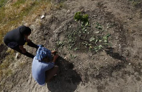 Permaculture learning program, Cape Town, South Africa - 18 Oct 2017 Stock Photos
