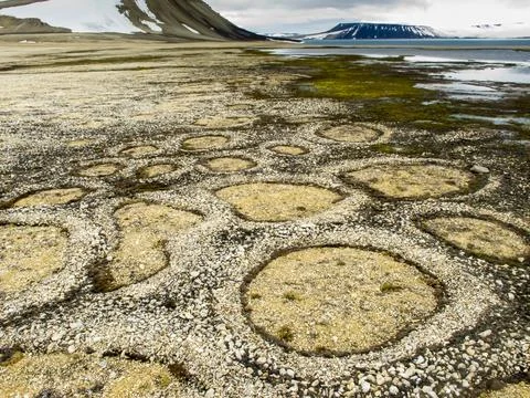 Permafrost forms a patterned landscape. 写真素材