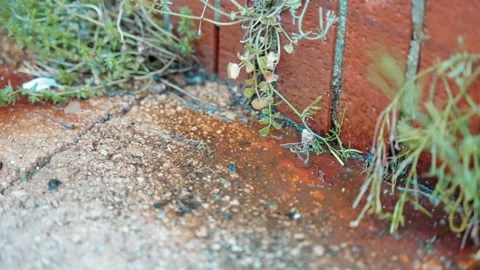 Permanent water droplets causing texture corrosion, rusty surface outdoor Stock Footage 241682687