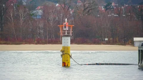 Permanent Waterway Navigation Light Buoy at Port Harbor Entrance Stock Footage 294790034