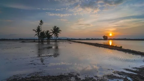 Permatang Bogak Scene 3 Stock Footage 101689491