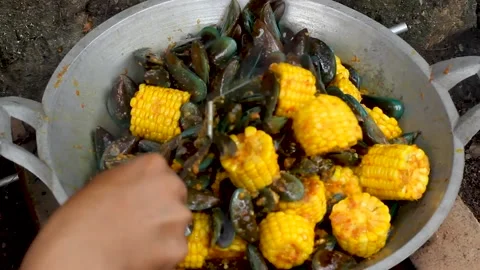 Perna viridis Stock Footage 276153699