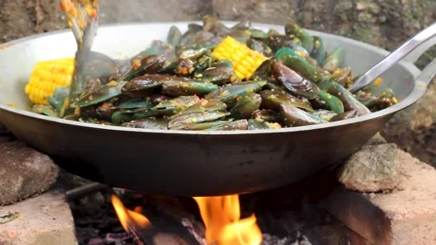 Perna viridis Stock Footage 276154188