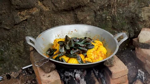 Perna viridis Stock Footage 276154500