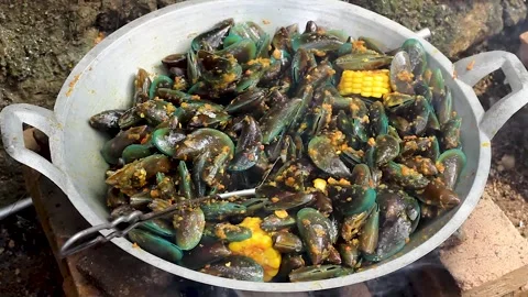 Perna viridis Stock Footage 276154534