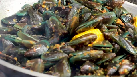 Perna viridis Stock Footage 276154813