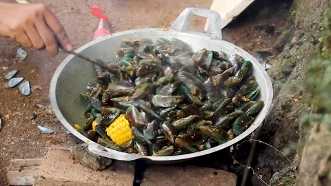 Perna viridis Stock Footage 276154815