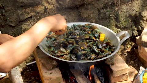 Perna viridis Stock Footage 276154887