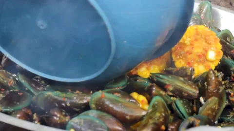 Perna viridis Stock Footage 276154896