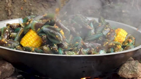 Perna viridis Stock Footage 276154980