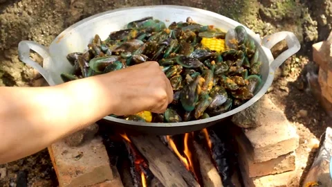 Perna viridis Stock Footage 276155442