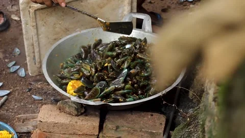 Perna viridis Stock Footage 276156024