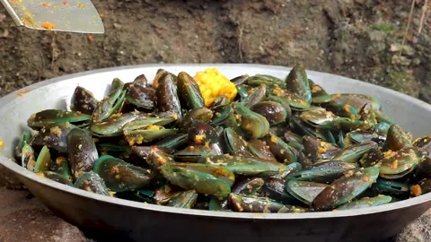 Perna viridis Stock Footage 276156025