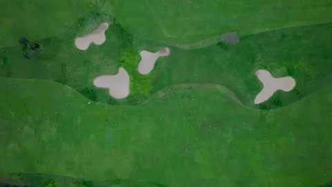 Perpendicular aerial shot of a golf course Stock Footage 232397102