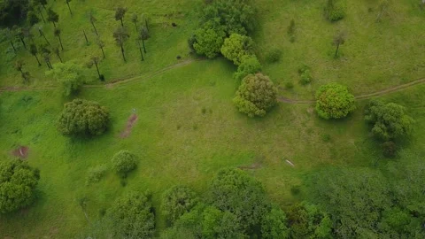 Perpendicular view of the Park Video stock 147937818