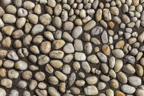 Perpendicular view of a pavement of white river pebbles Stock Photos