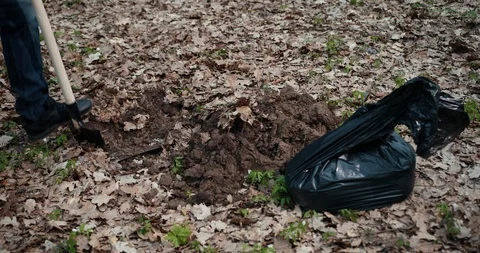 The Perpetrator Digs A Pit In The Woods To Bury Stolen Things In A Black Bag Stock Footage 106587161