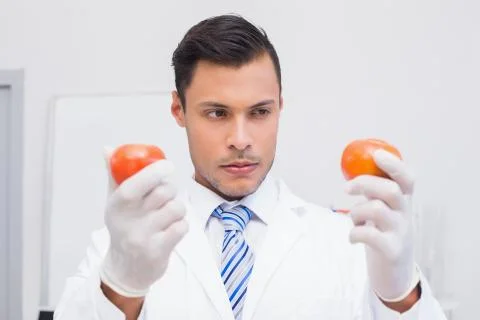 Perplex scientist holding two tomatoes Stock Photos