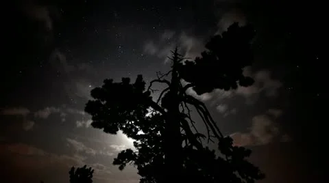 Perseids meteor shower timelapse Video stock 11831447