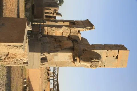 Persepolis Iran Stock Photos