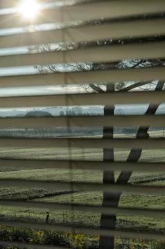 Persian blinds 스톡 사진