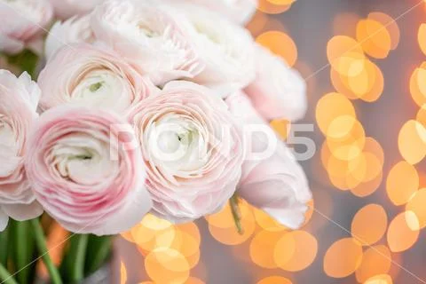 Bouquet Of Colorful Persian Buttercup Flowers (ranunculus) Stock