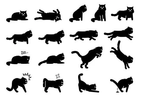Persian cat poses, postures, emotions, and actions icons. Vector illustration Stock Illustration