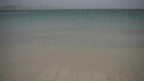 Persian Gulf, Fish Stock Footage 88751109